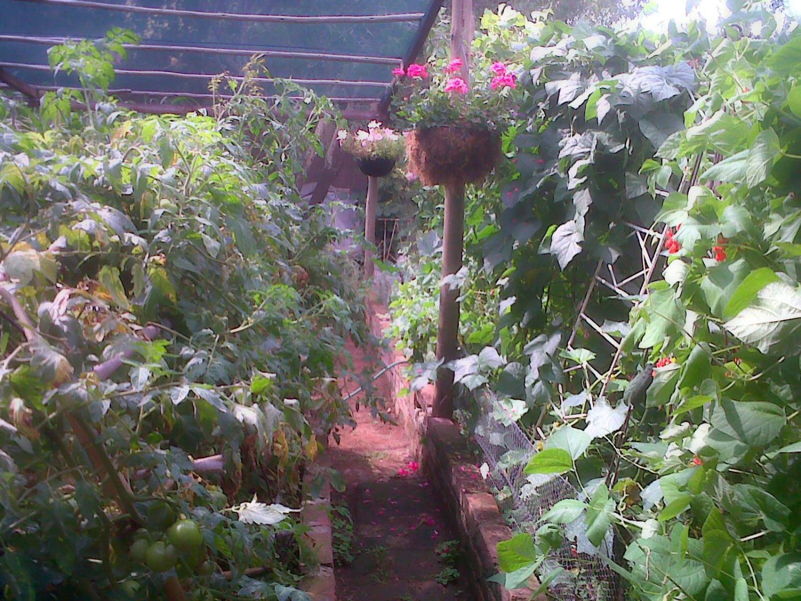 Albergue Karma Backpackers Kestell Exterior foto