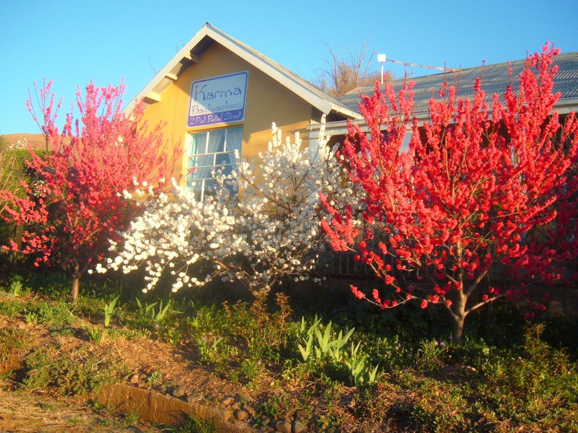 Albergue Karma Backpackers Kestell Exterior foto